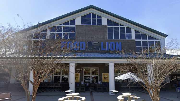 Food Lion Pawleys