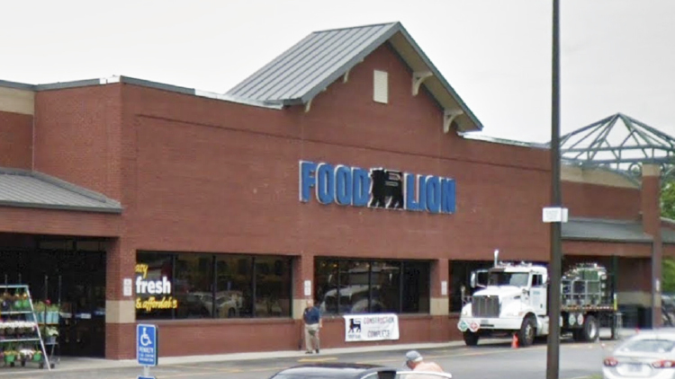 Food Lion Tilgham