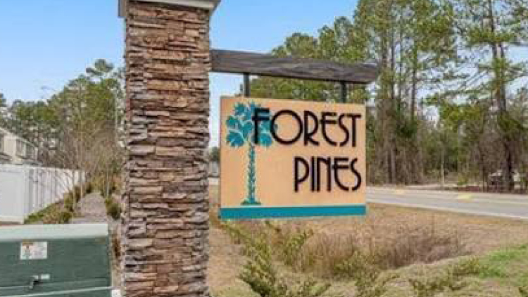 Forest Pines